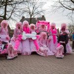 Dames Raad van 11 - Wij gaan voor de poedelprijs