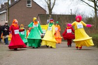 Optocht 2014 - Zorgboerderij De Krakenburg - Een gemend bal met Colori's carnaval